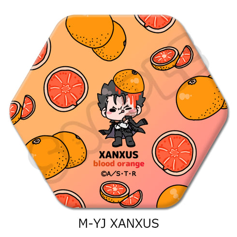 『家庭教師ヒットマンREBORN!』第3弾 六角形缶バッジ M-YJ XANXUS